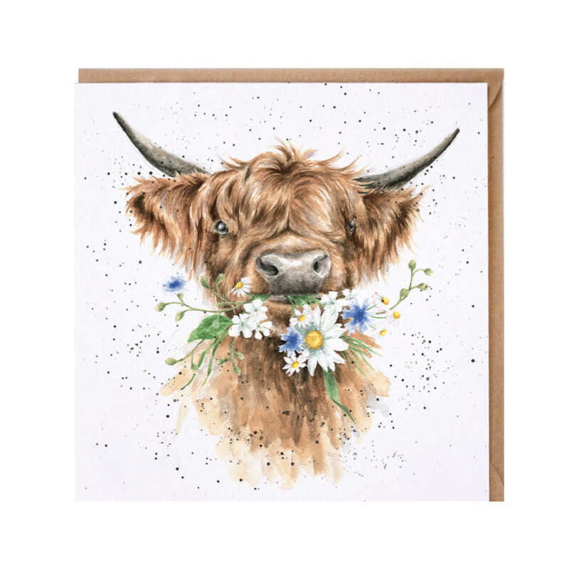 Glückwunschkarte mit weißem Hintergrund, bedruckt mit einem Highlandrind mit Blumen im Maul