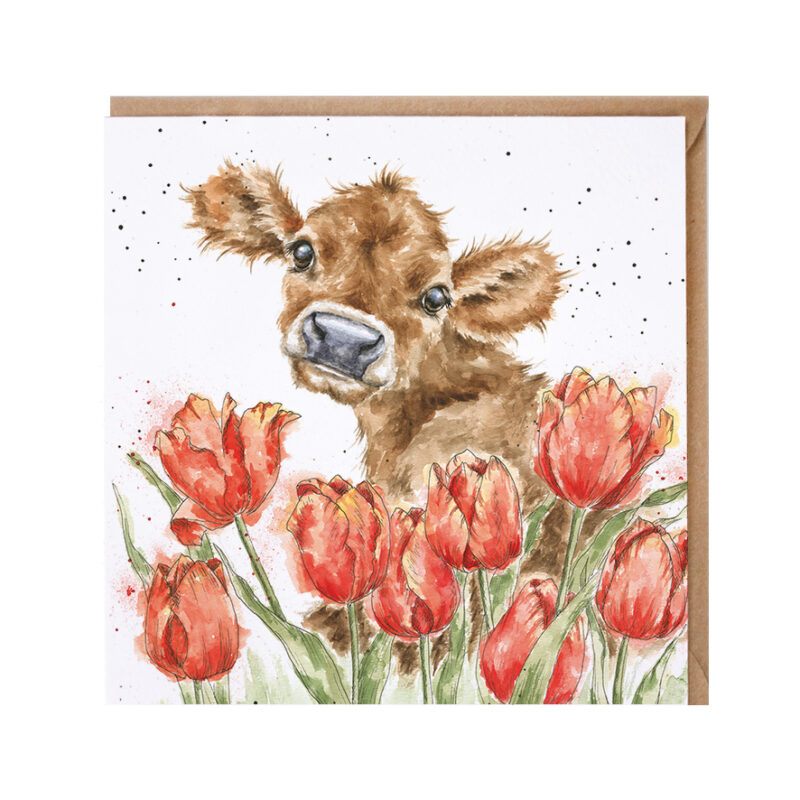 Glückwunschkarte mit weißem Hintergrund, bedruckt mit einem Kälbchen mit Tulpen als Vordergrund
