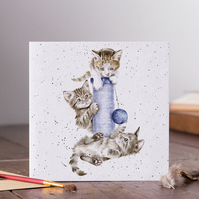 Glückwunschkarte mit weißem Hintergrund, bedruckt mit Katzen spielend mit einem Ball