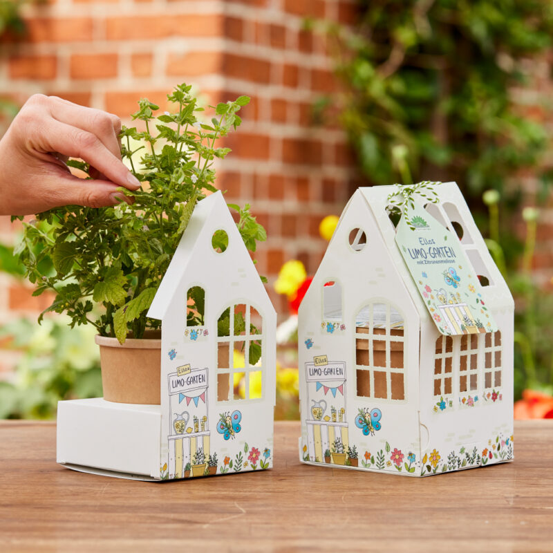 Anzuchtset in Form eines Häuschen, weiß blaues Haus mit bedruckten Blumen