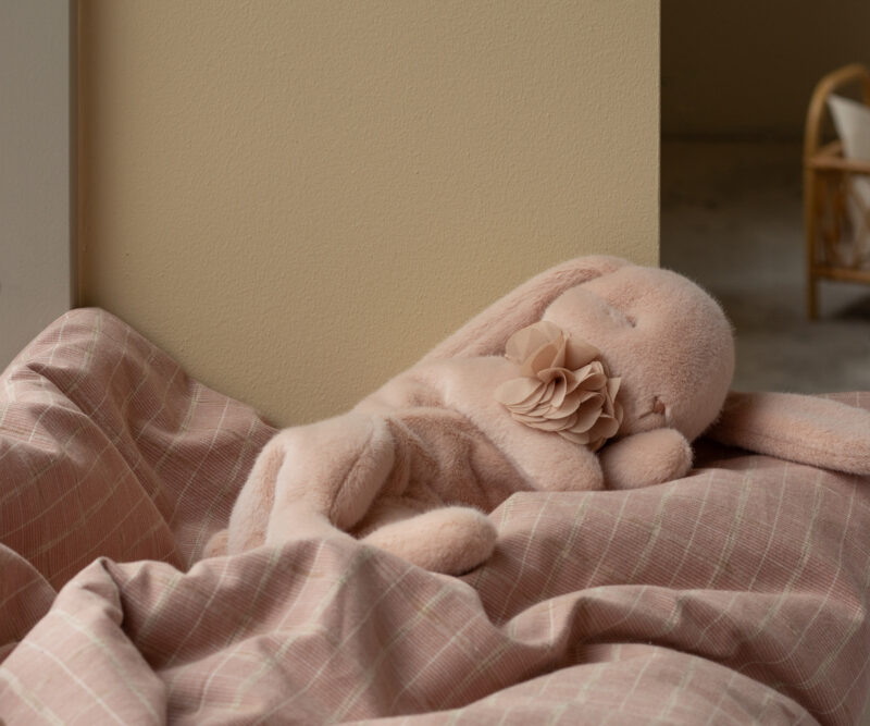 Kuschelhase