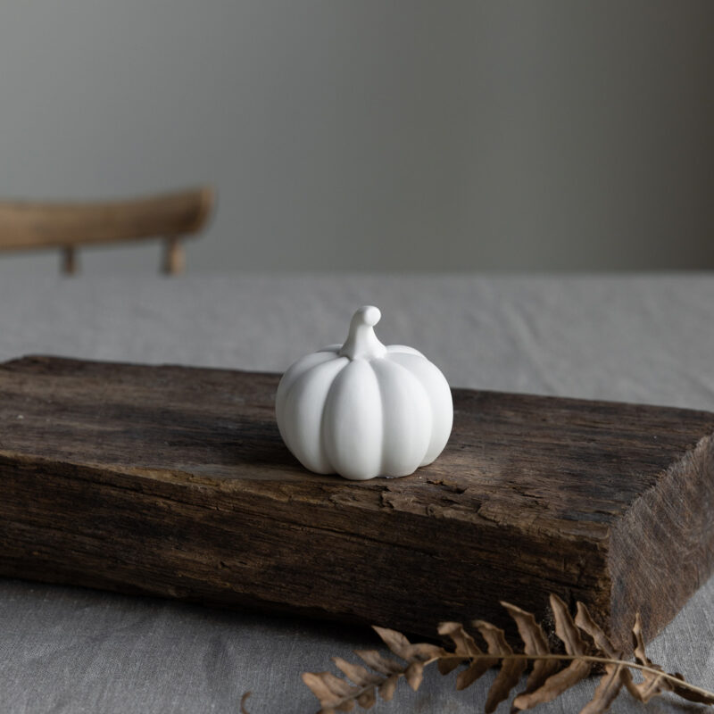 Kürbis klein weiß