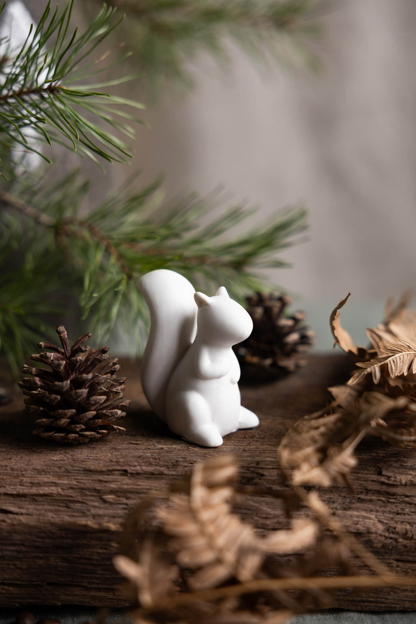 Eichhörnchen namens Otis in klein