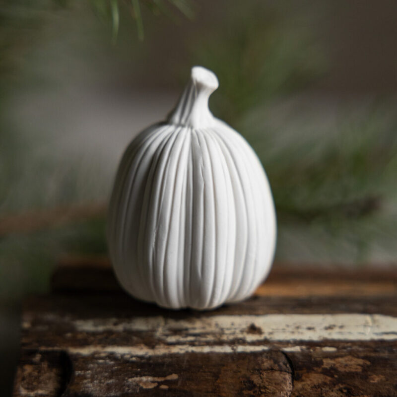 Kürbis weiß