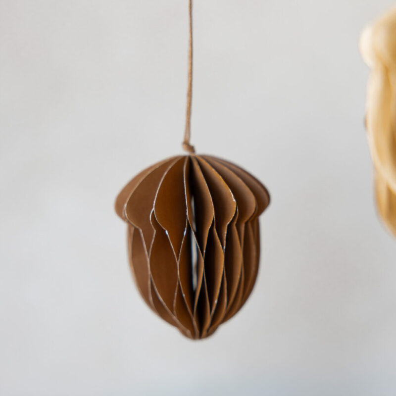 papiereichel dunkelbraun