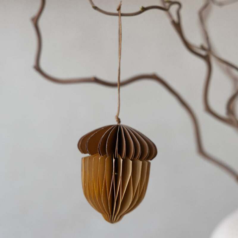 papiereichel mittelbraun