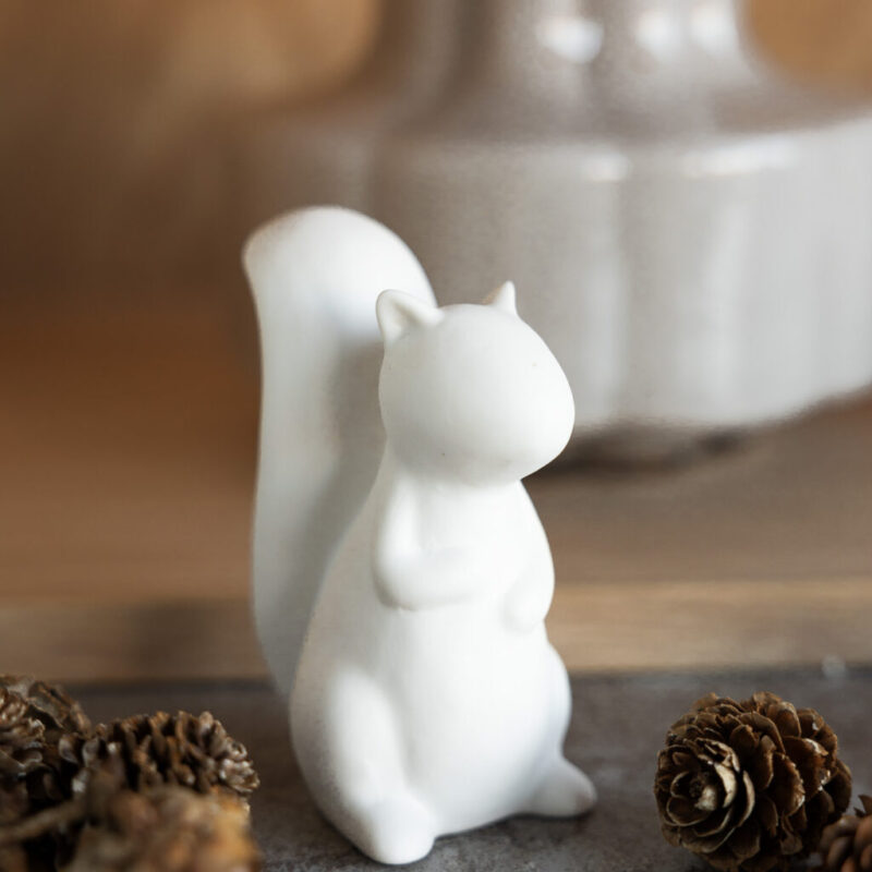 Eichhörnchen namens otis in groß