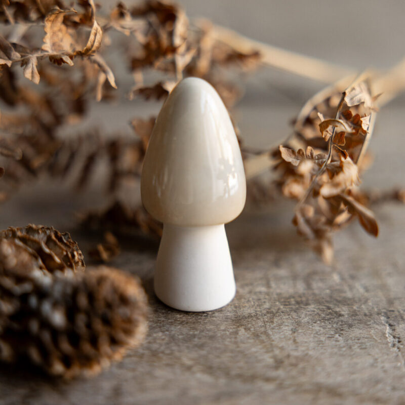 kleiner Pilz in beige