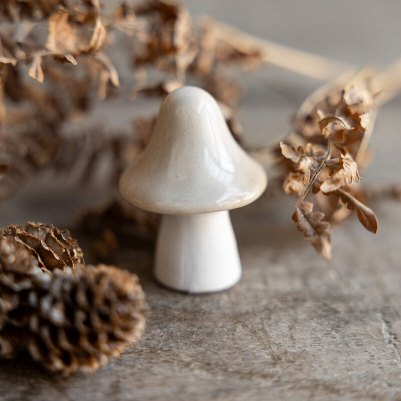 Pilz namens boston in beige