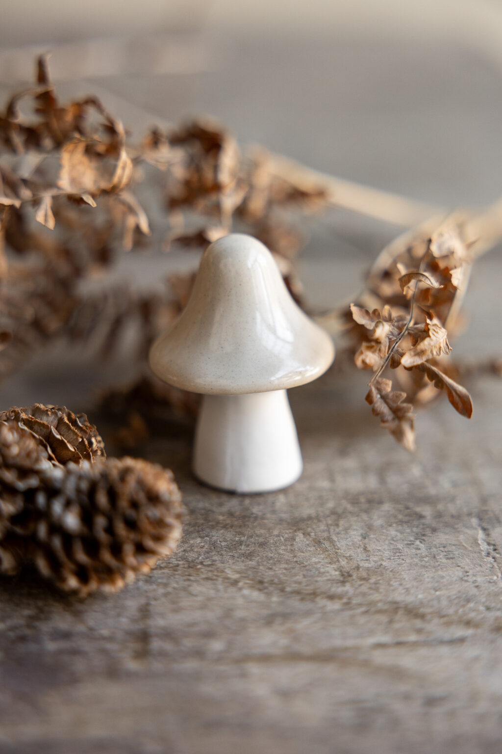 Pilz namens boston in beige