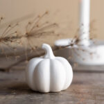 Kürbis weiß