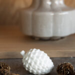 weißer Tannenzapfen klein