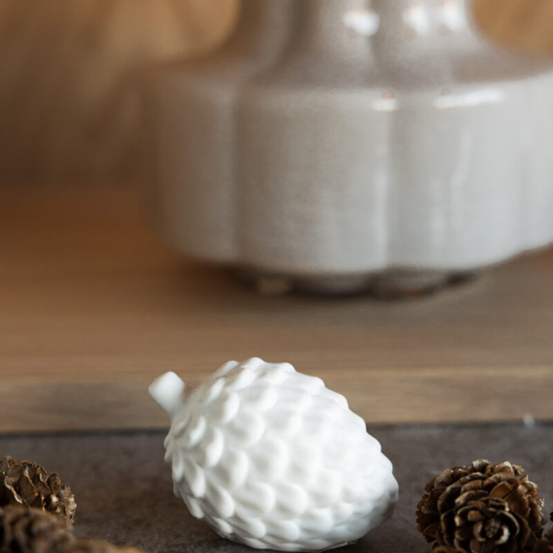 weißer Tannenzapfen klein