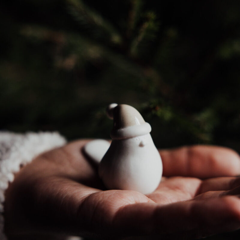 vogel mit beige Weihnachtsmütze