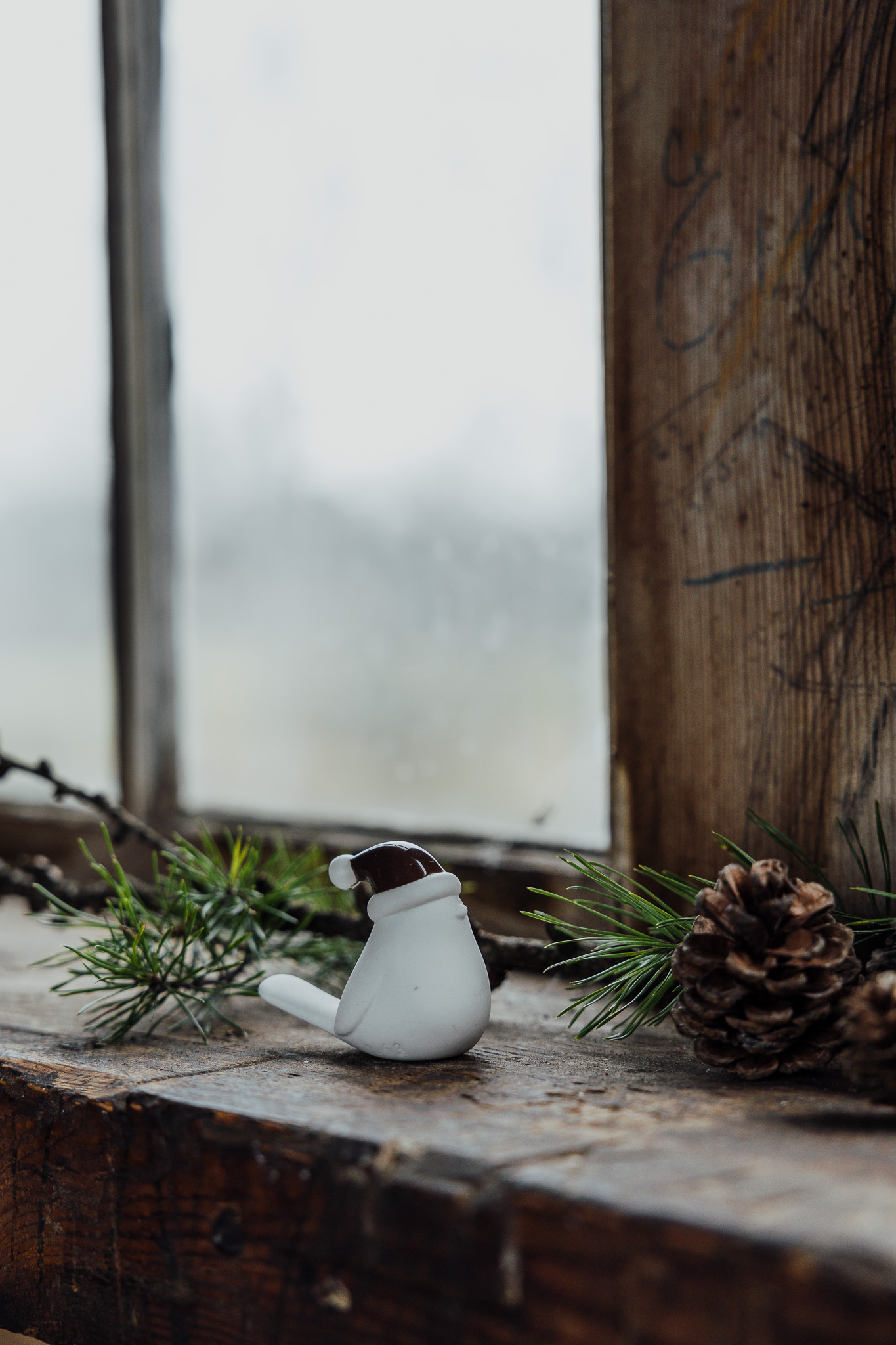 vogel mit brauner Weihnachtsmütze