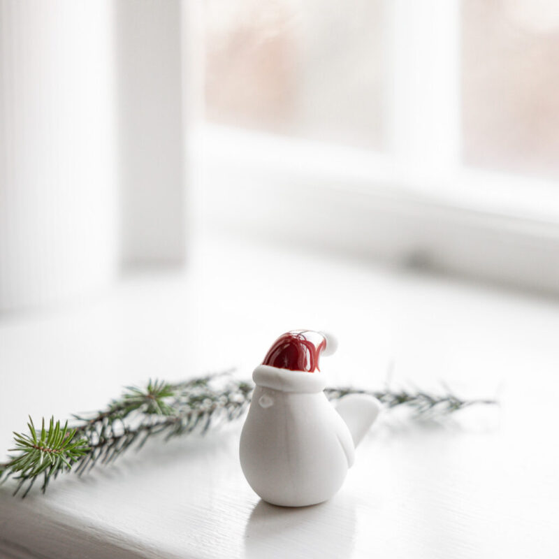vogel mit roter Weihnachtsmütze