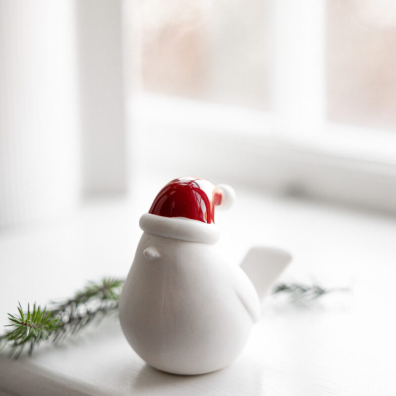 vogel mit roter Weihnachtsmütze