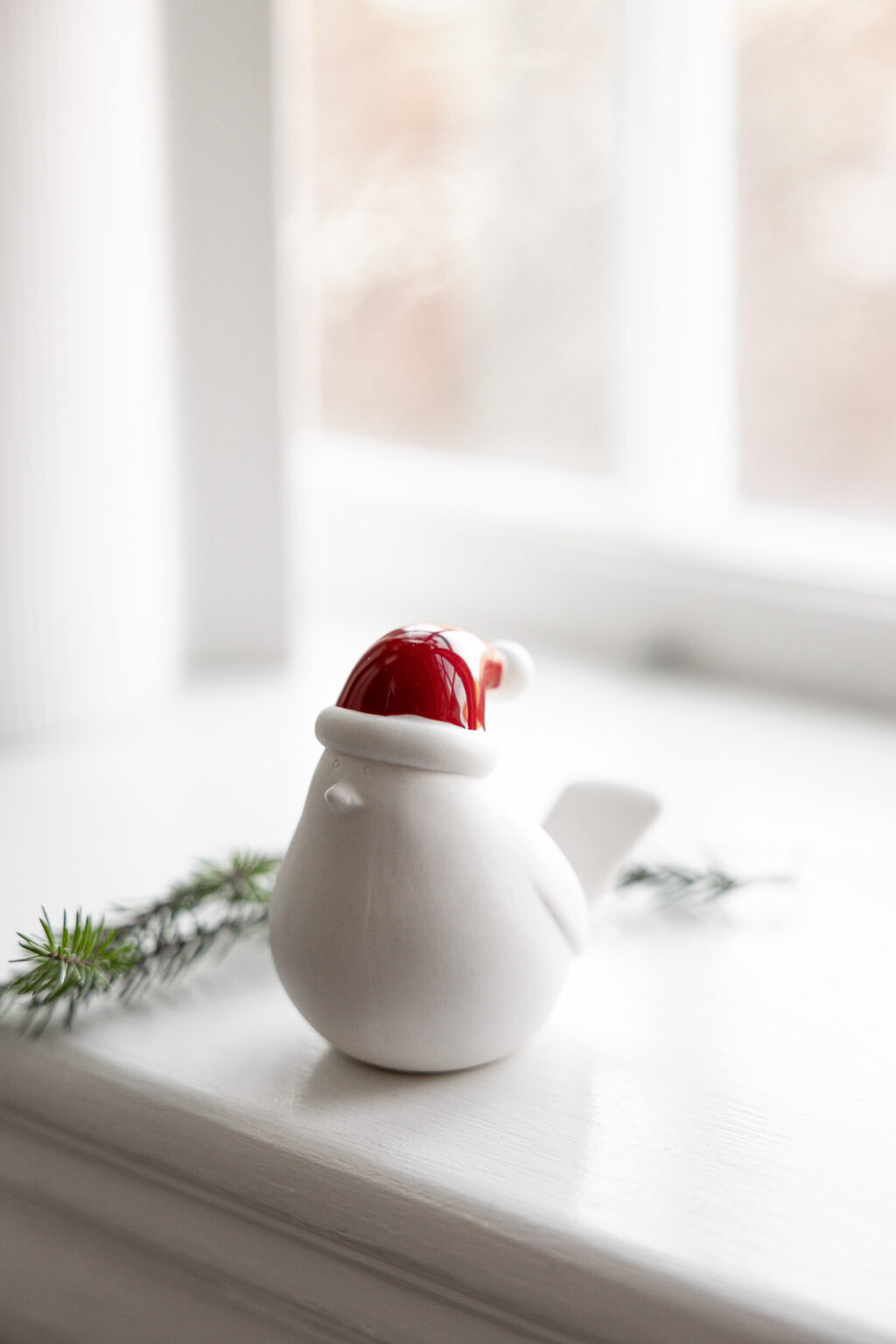 vogel mit roter Weihnachtsmütze