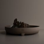 plus plate in der farbe tust