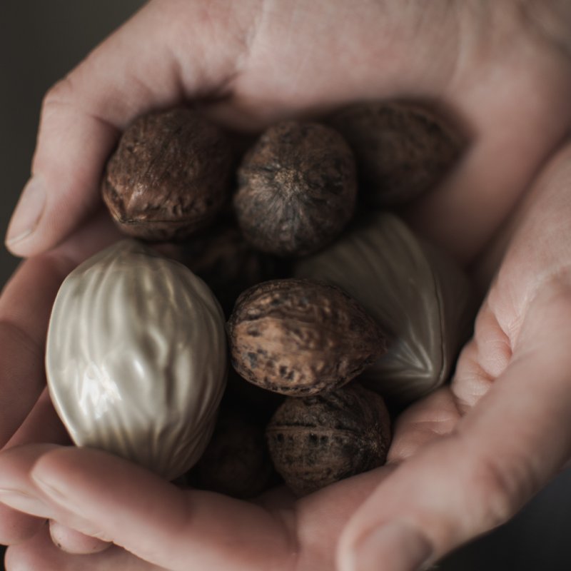 hängende Walnuss in der farbe shiny mole