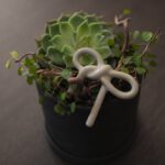 Schleifen Stecker in der farbe shiny mole