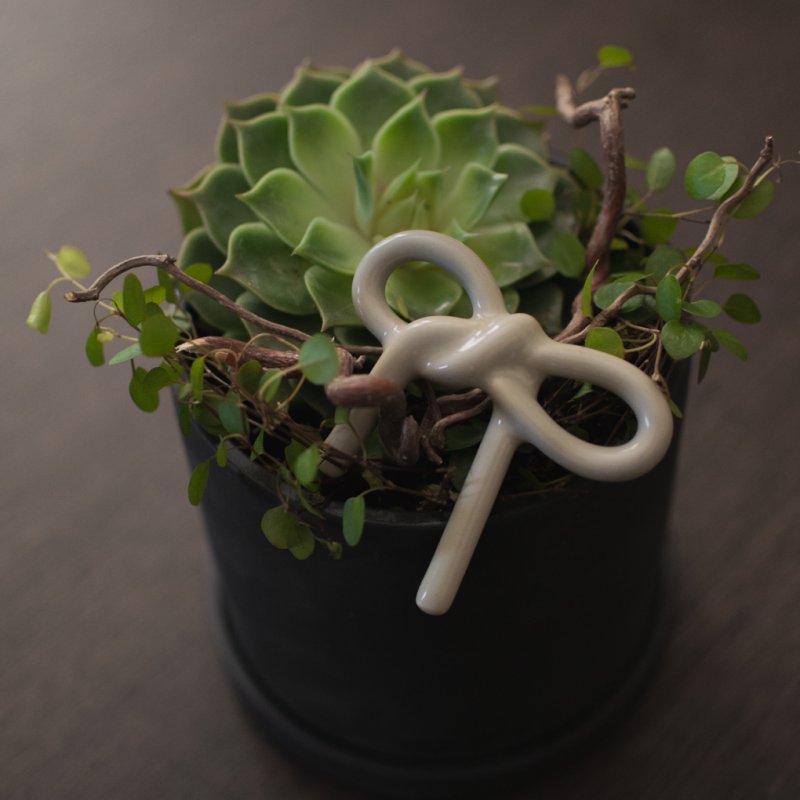 Schleifen Stecker in der farbe shiny mole