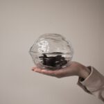 Walnut Bowl in clear