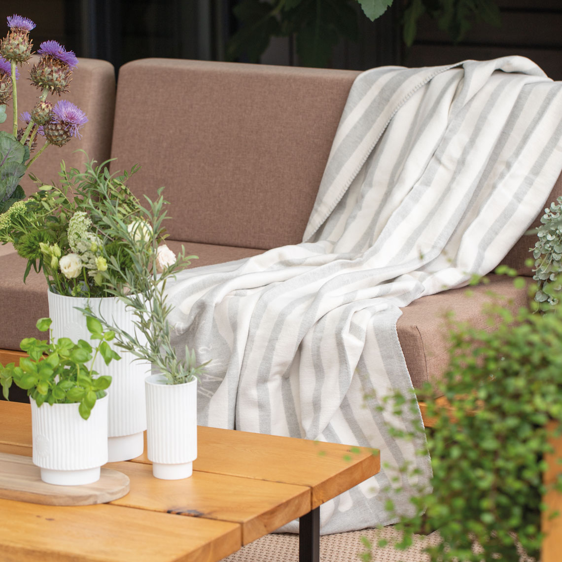 Wolldecke Hausfreunde